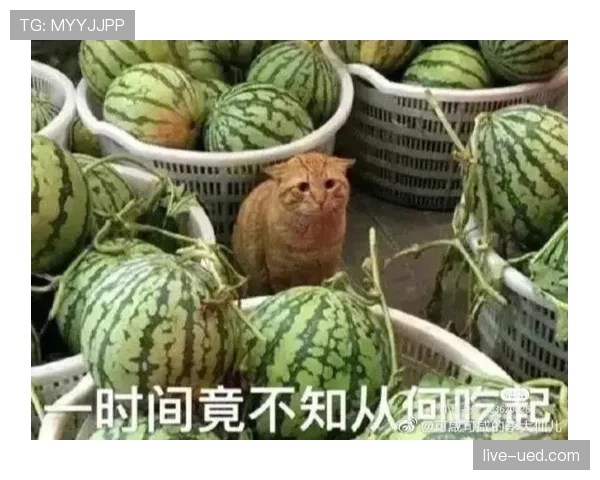 伊布居然还这么爱发自拍，球场上大佬场下吃瓜群众？