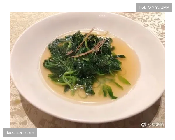 莱德基每天游50公里,吃饭像打卡米其林 莱德基每天游50公里,吃饭像打卡米其林